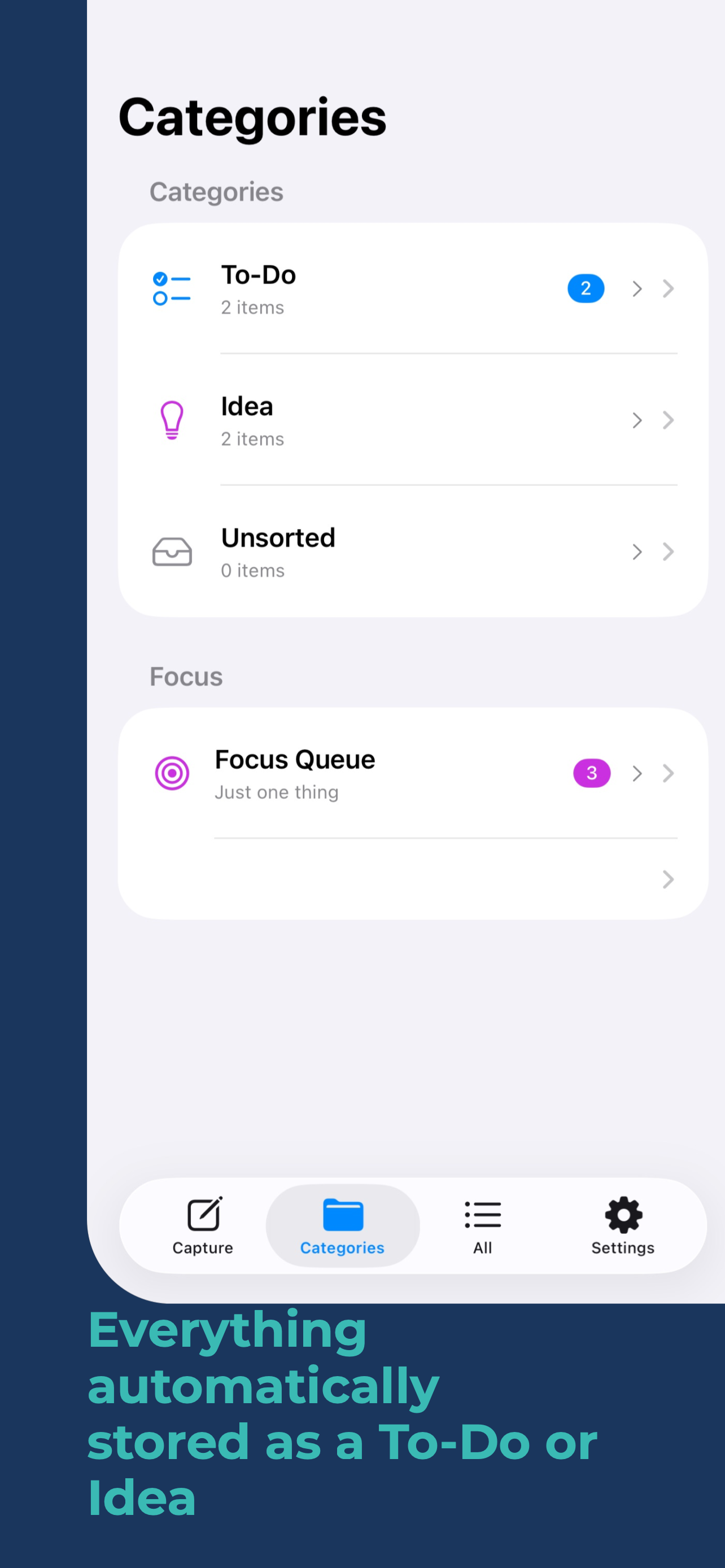Hummingbird Capture gallery image