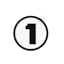 NS1