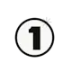 NS1