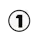 NS1