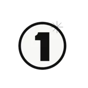NS1