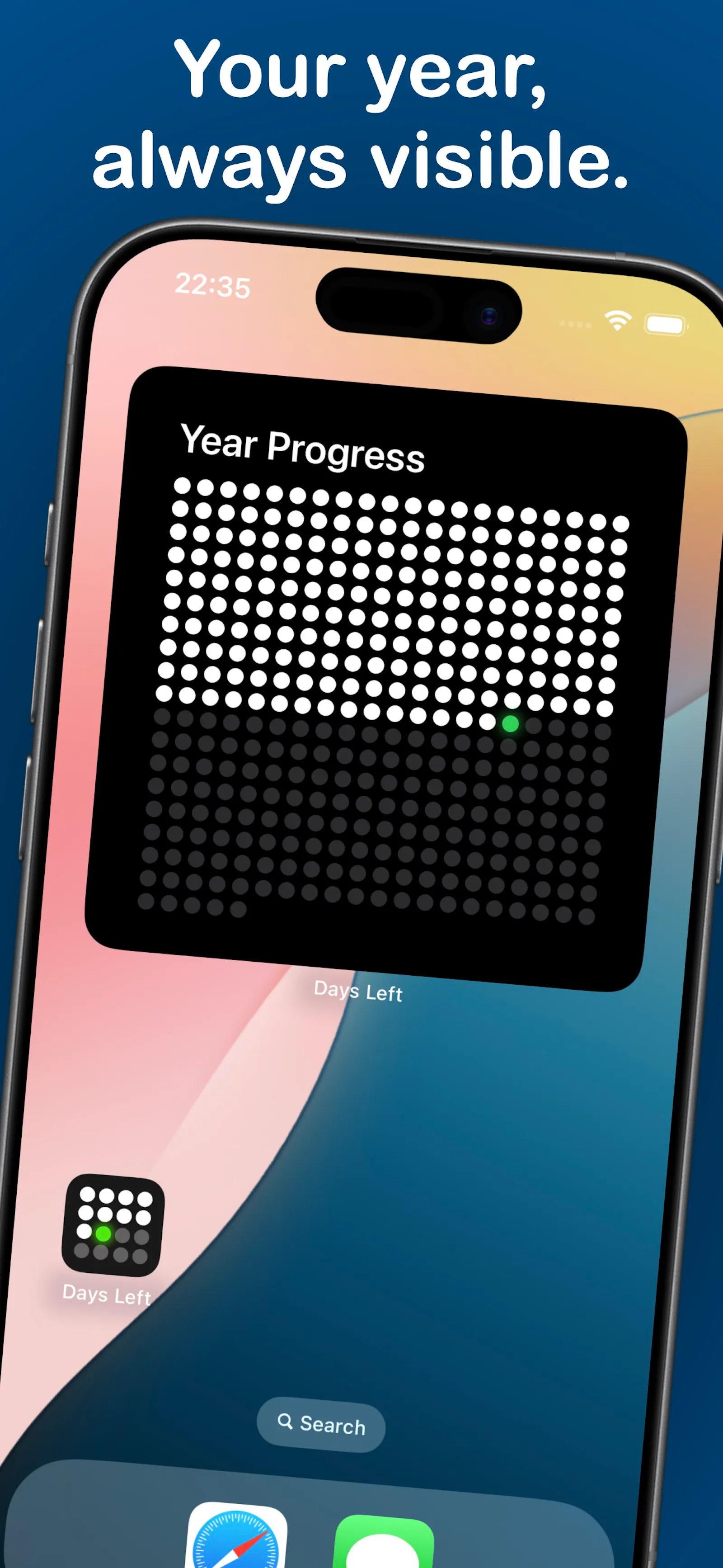 Days Left Year Progress screenshot 4