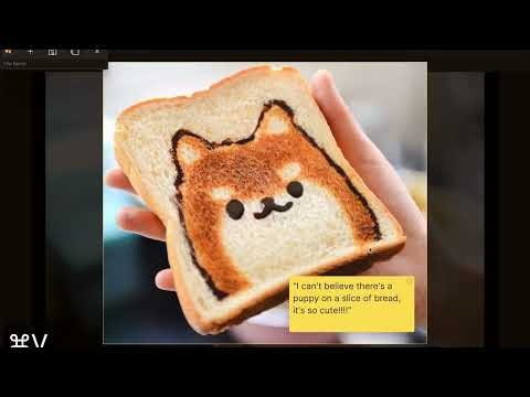 Capture Note - Notes on the screenshot gallery image