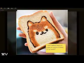 Capture Note - Notes on the screenshot gallery image