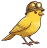Canary - A QR safety scanner