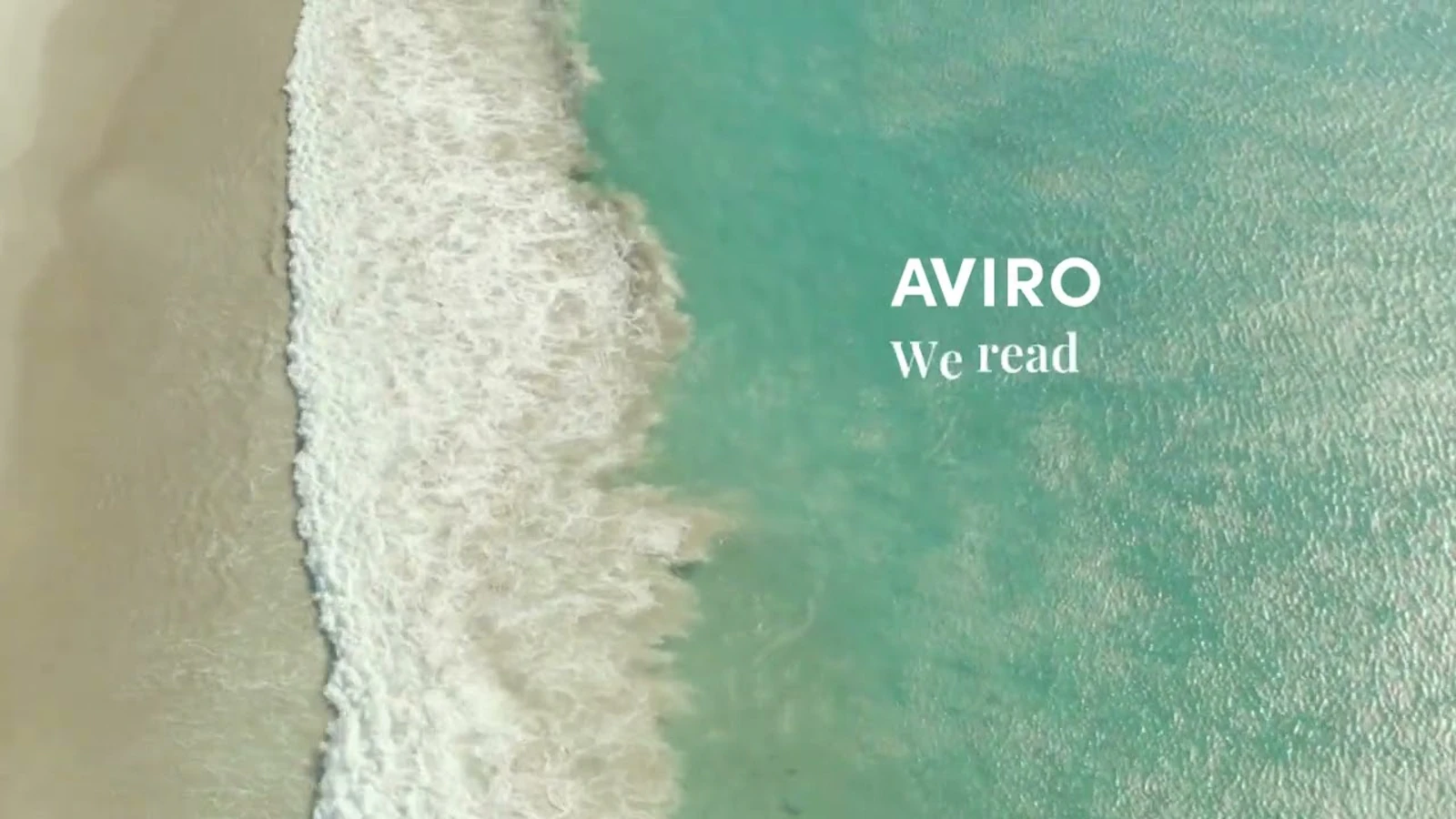 AVIRO screenshot 1 (video preview)
