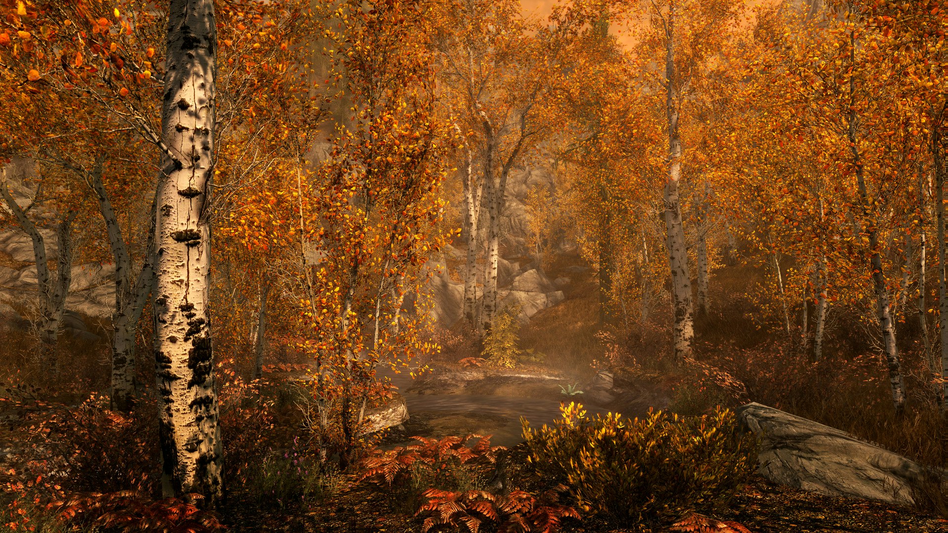 The Elder Scrolls V: Skyrim Edition gallery image