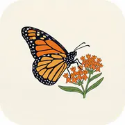 Pollinator Patch