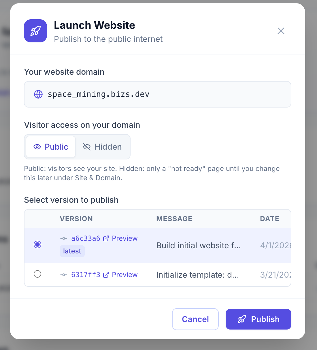 Bizs.dev gallery image