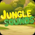 Bingoo Jungle Sounds
