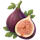 Fig.meme