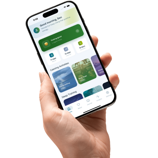 Restori - Main product screenshot demonstrating key features and user interface
