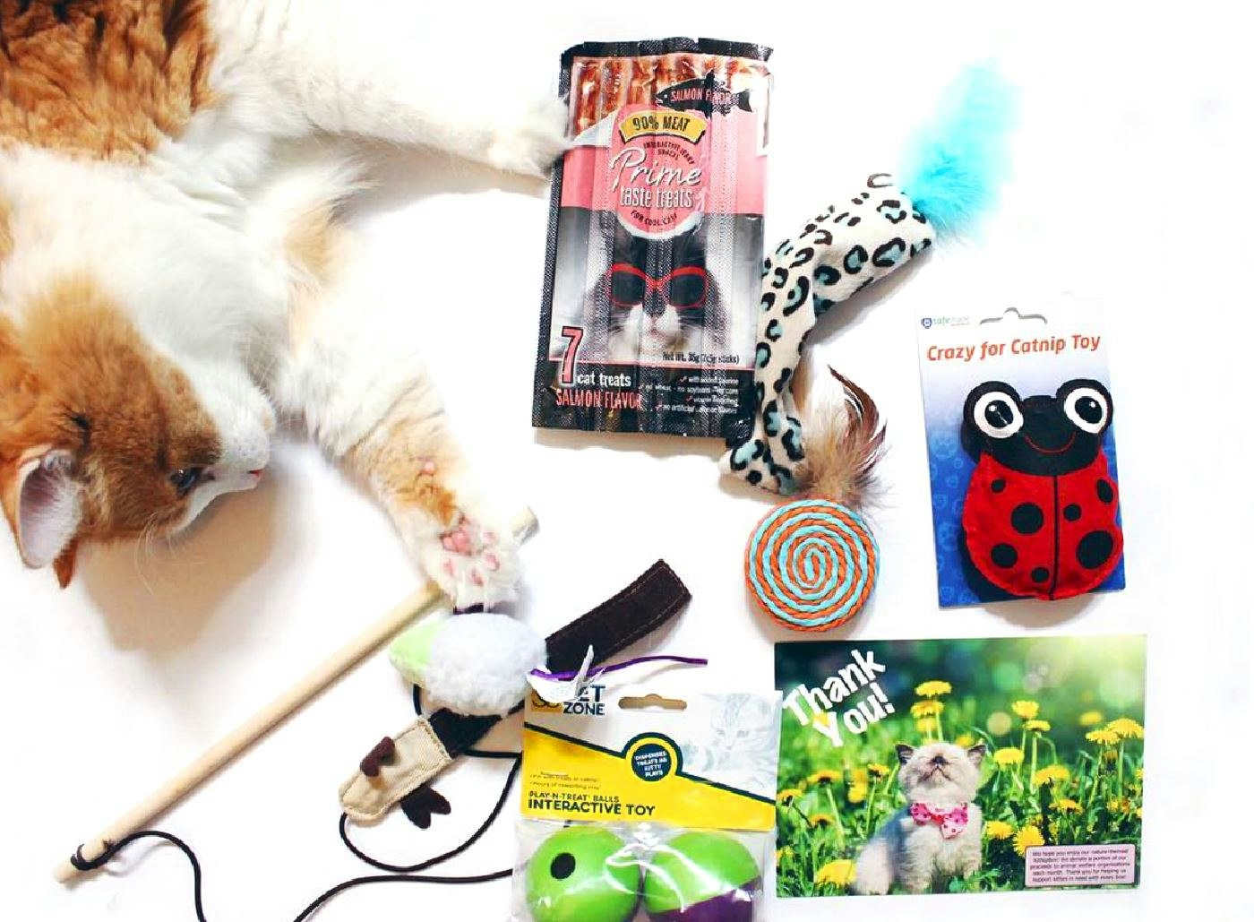 KitNipBox gallery image