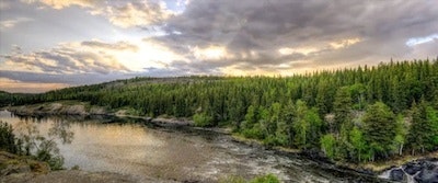 Image Blur gallery image