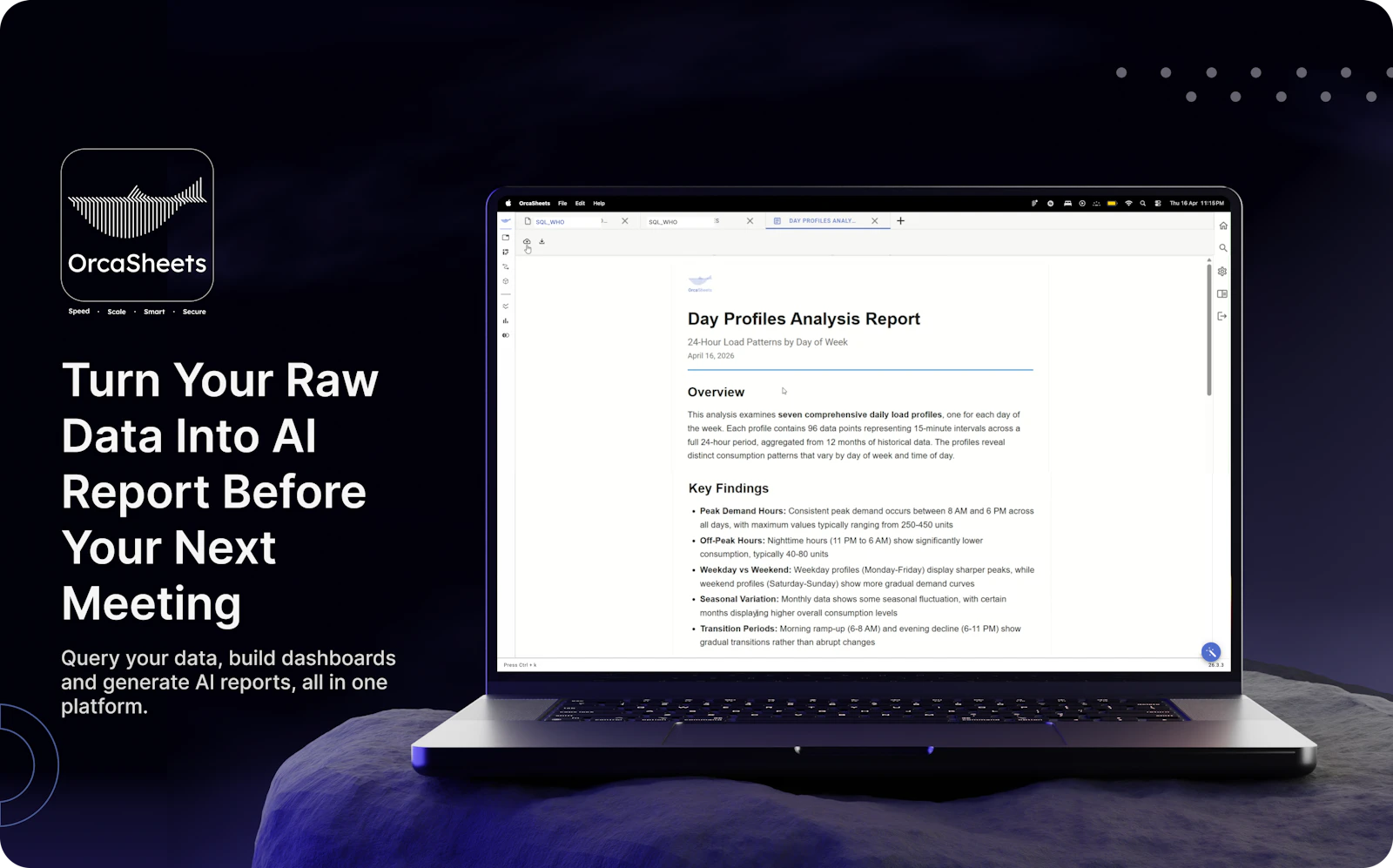 OrcaSheets AI Reports screenshot 2