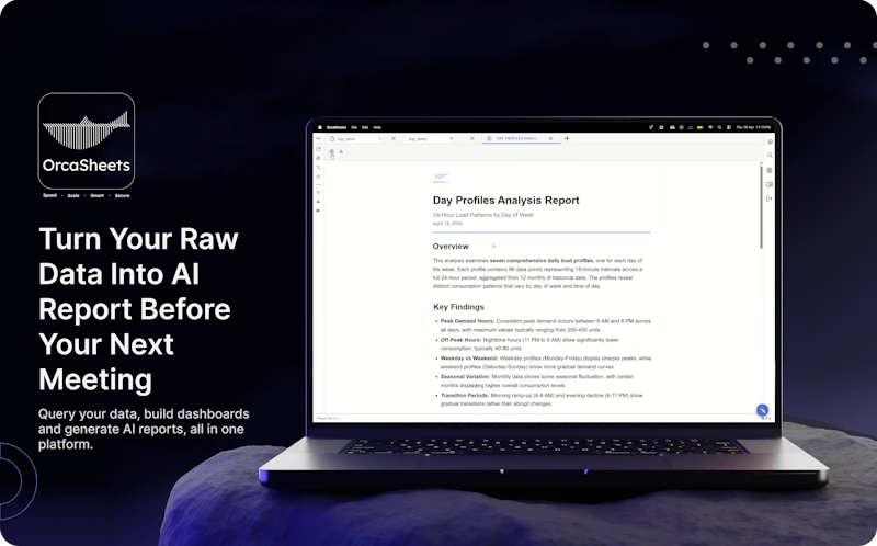 OrcaSheets AI Reports screenshot 2