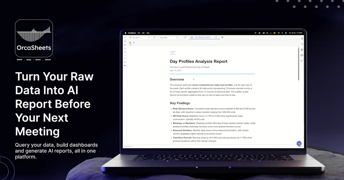 OrcaSheets AI Reports