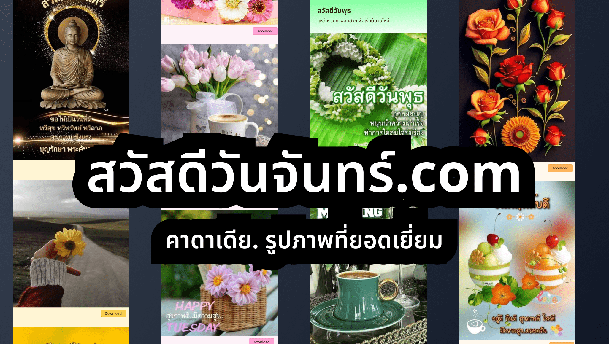 สวัสดีวันจันทร์ gallery image