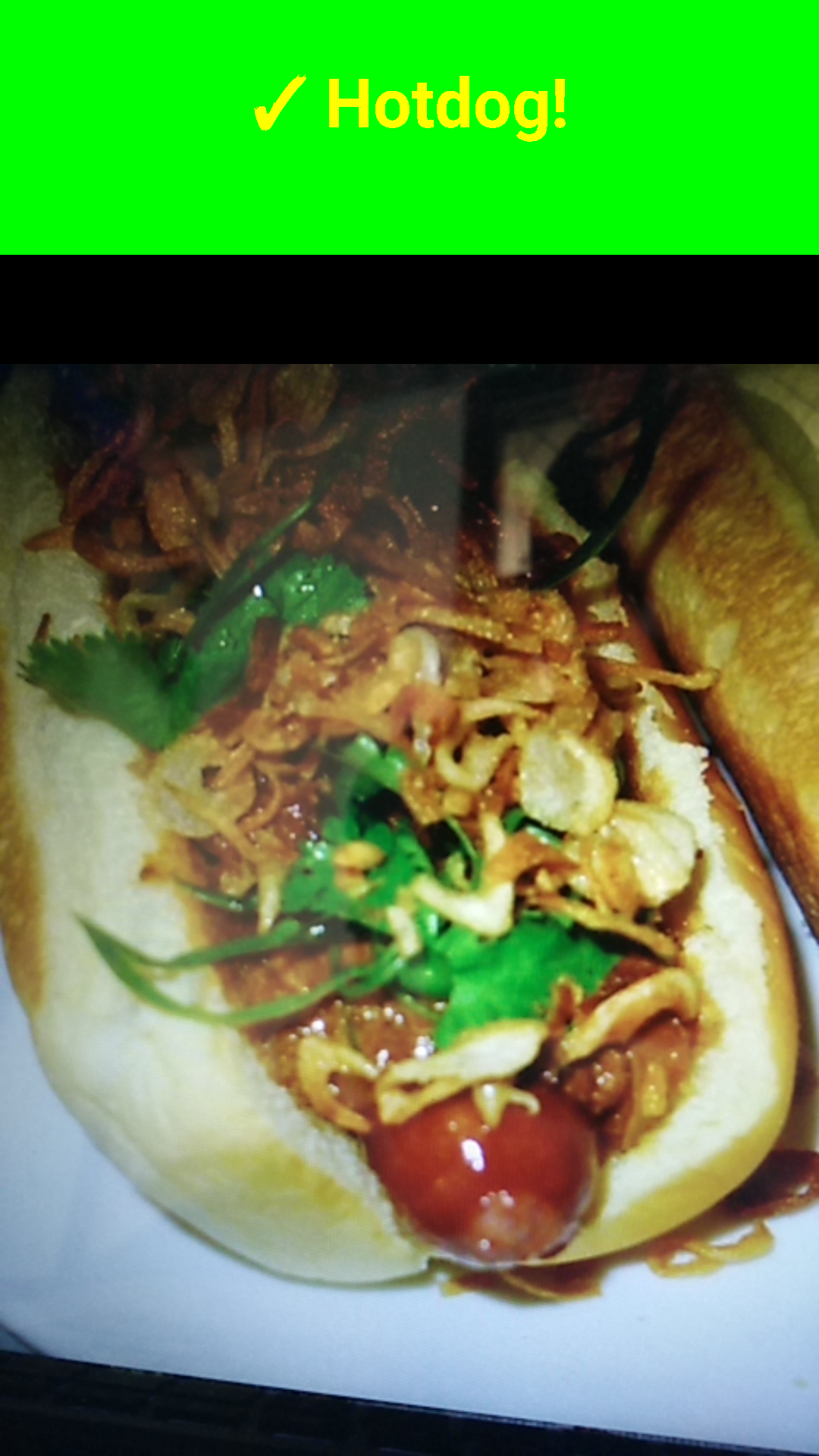 Not Hotdog for Android Image