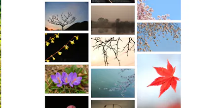 The best pictures you've ever seen gallery image