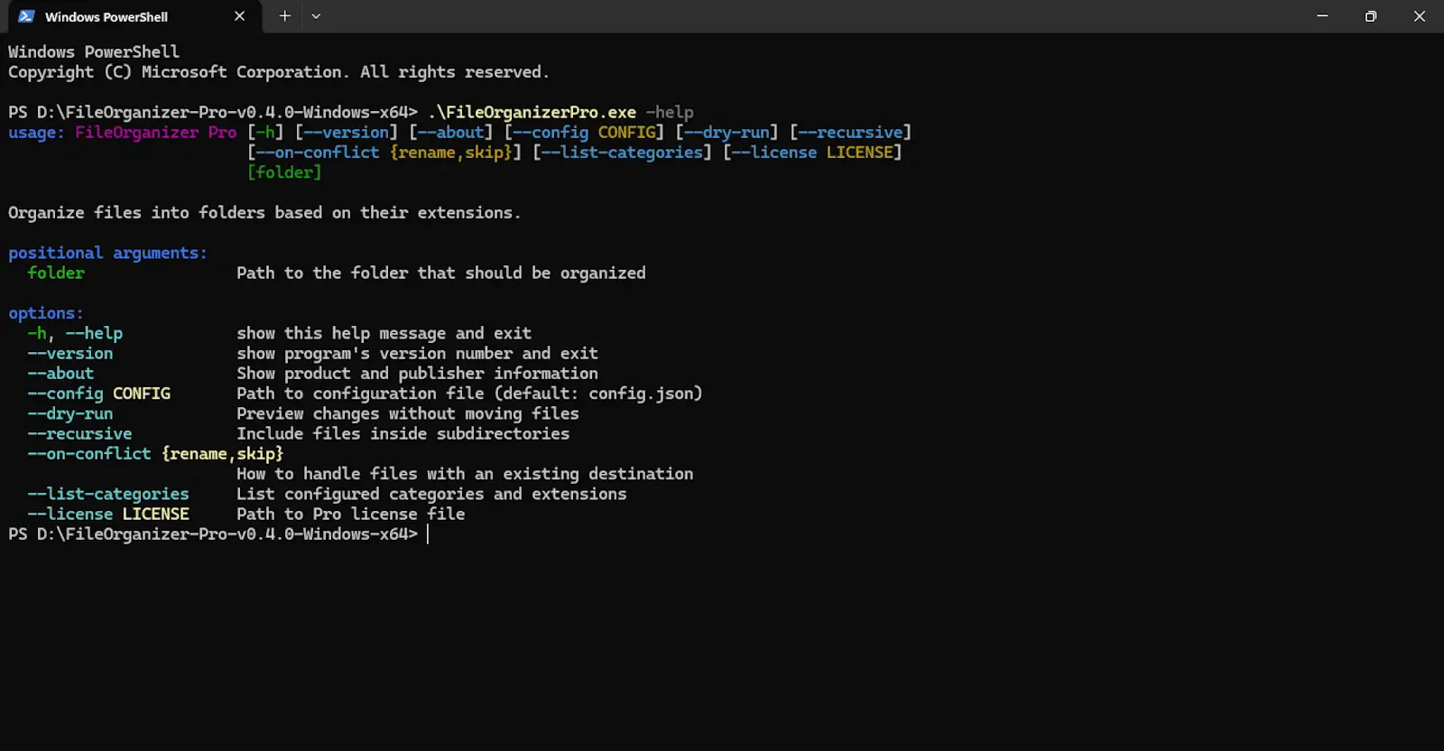File Organizer screenshot 3