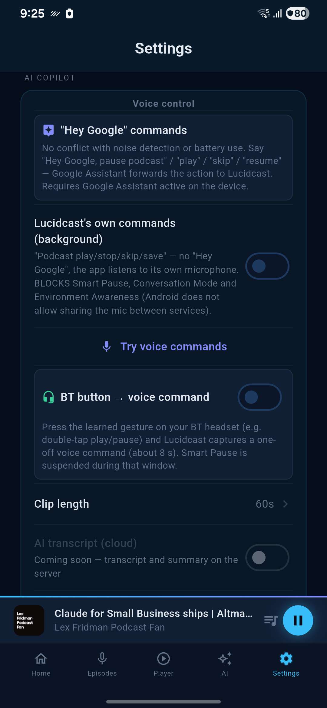 Lucidcast gallery image