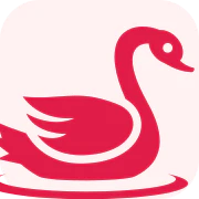 Love Like Swan