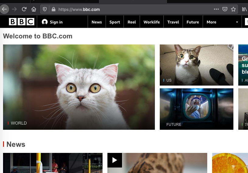 Corona Blocker gallery image