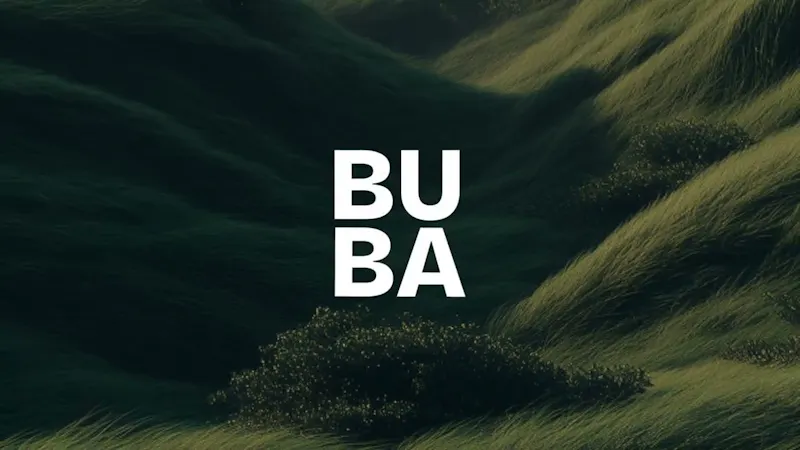 Buba screenshot 1 (video preview)