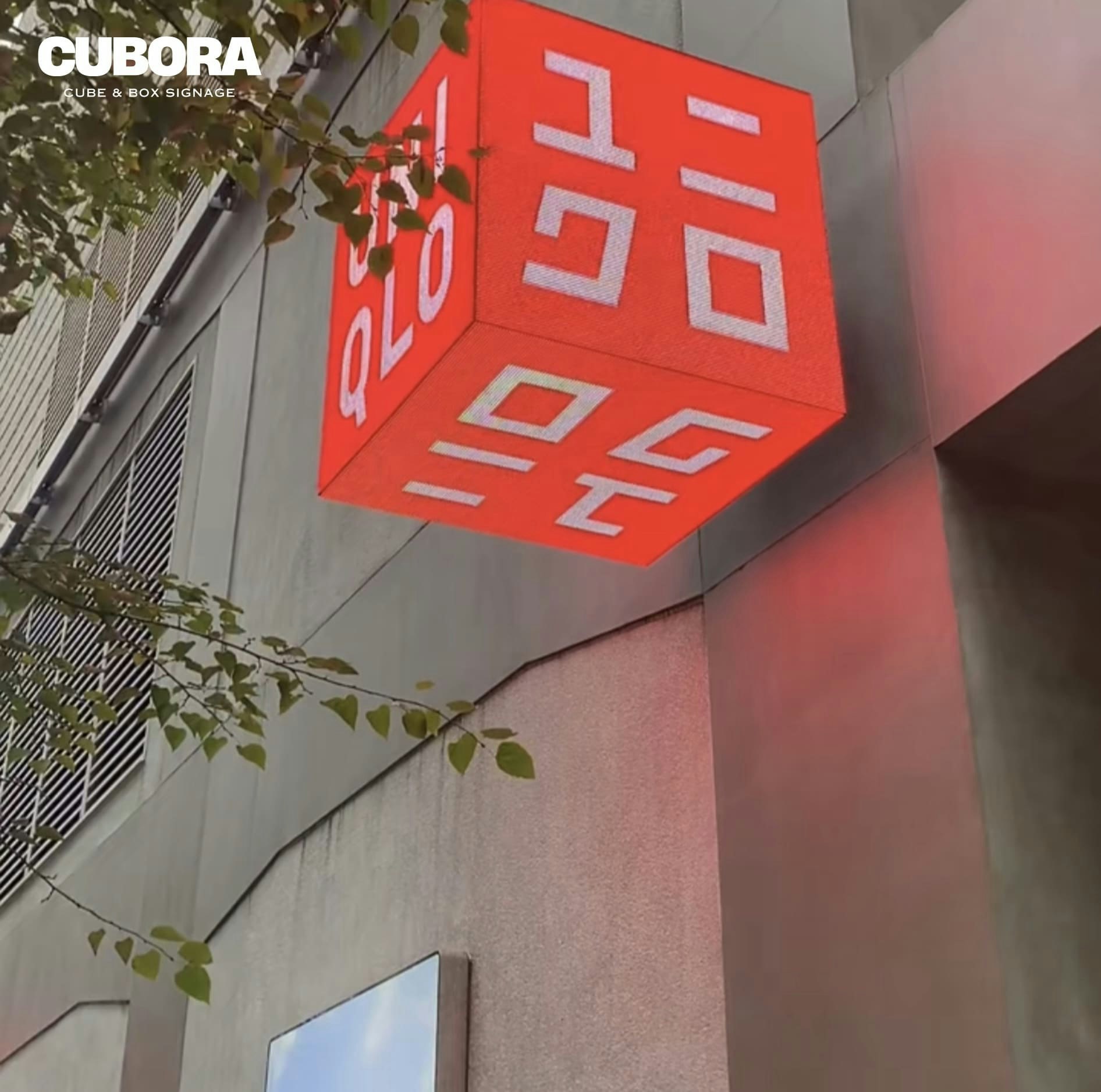 Cubora 006 screenshot 1