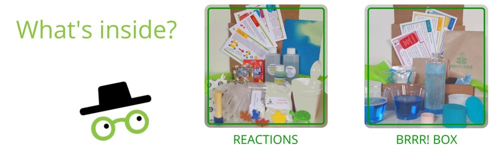 Agent Ribbit gallery image