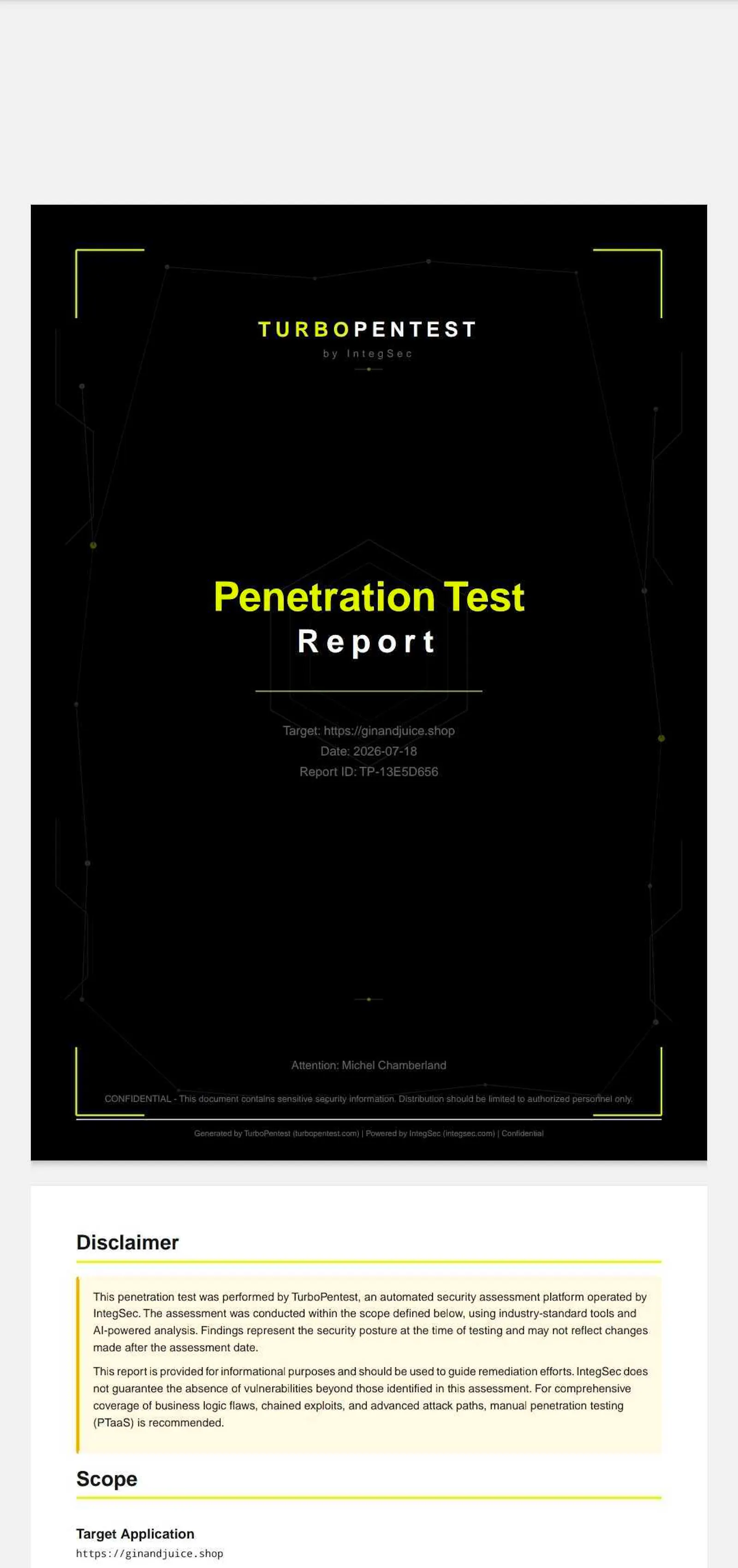 TurboPentest screenshot 9