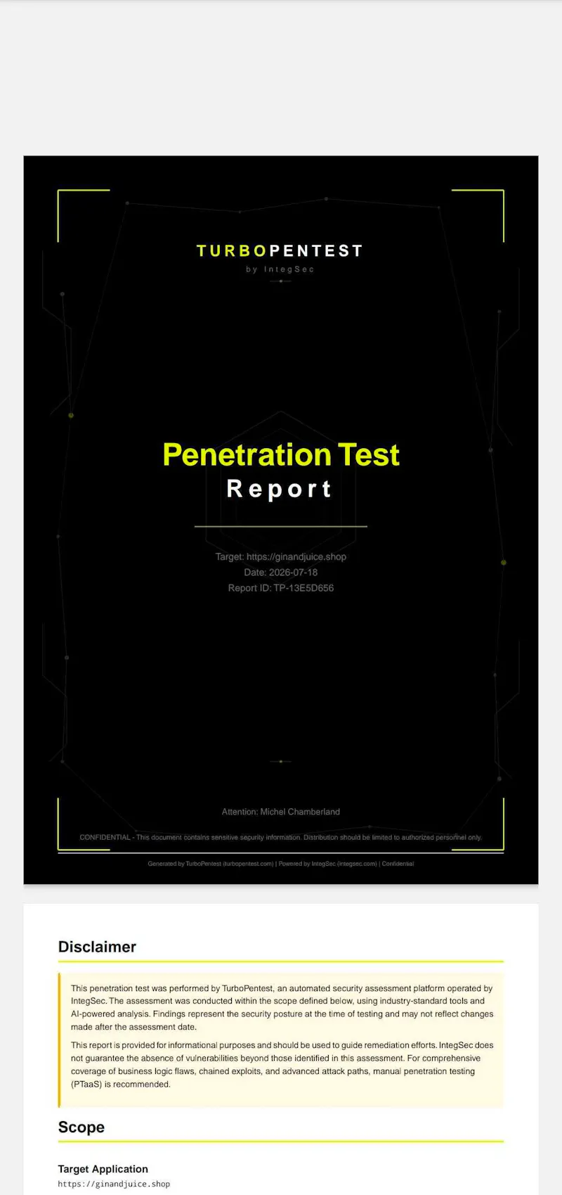 TurboPentest screenshot 9