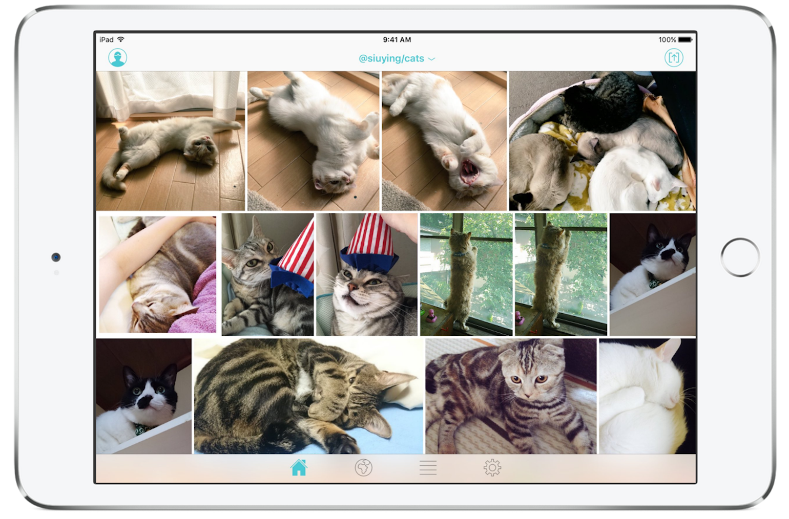 Finch for Twitter gallery image