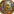 Evomanias