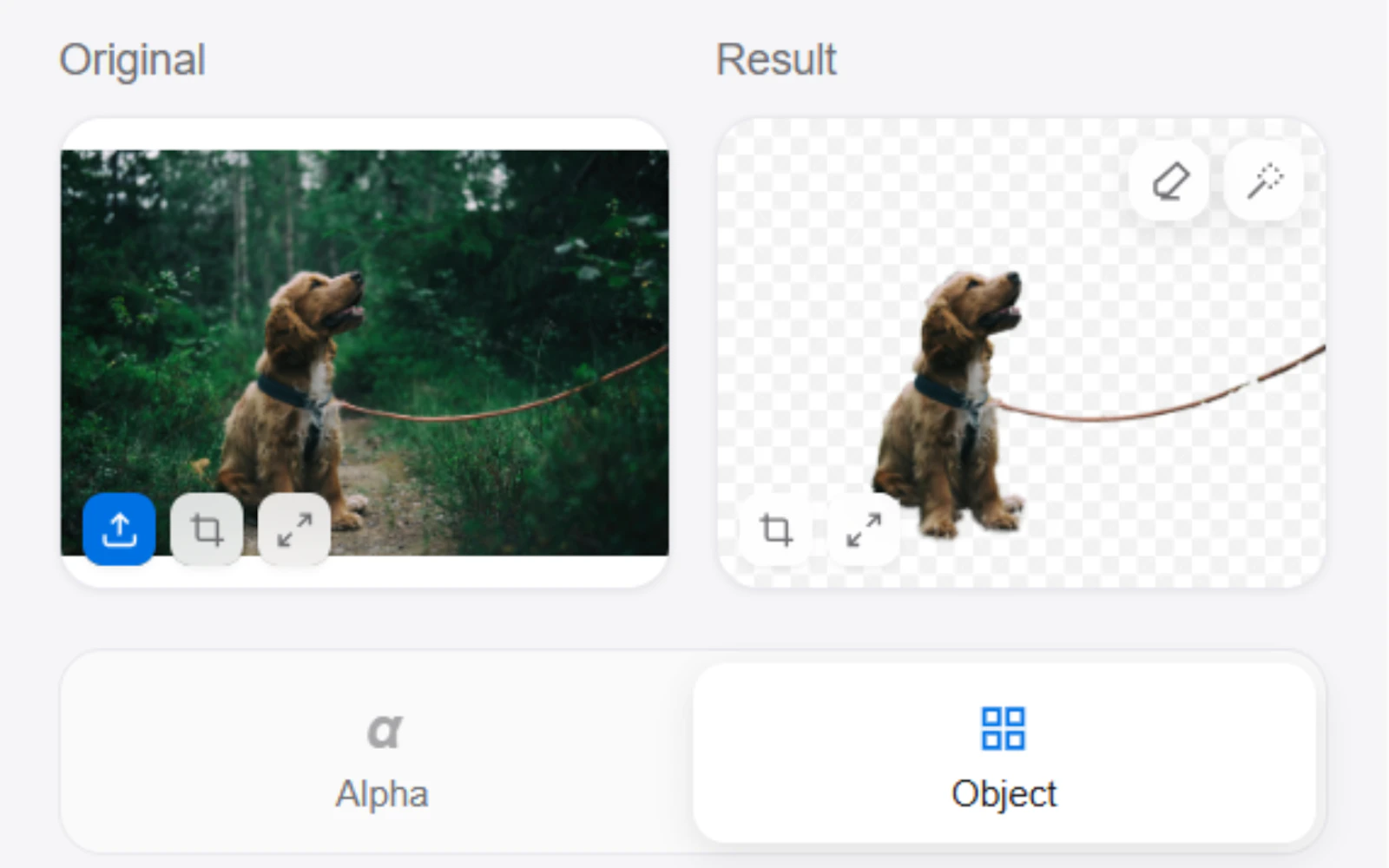 AlphaDrop screenshot 2