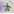 DevSignal