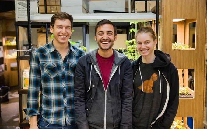 Grove Ecosystem Image
