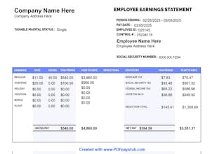 PDFPayStub.com gallery image