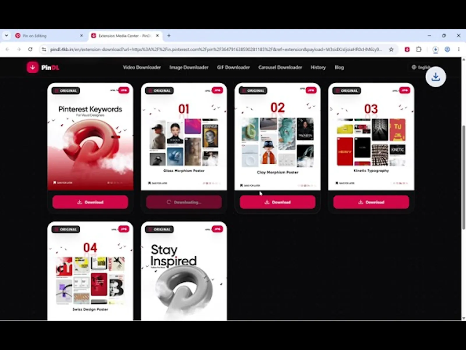 PinDL screenshot 1 (video preview)