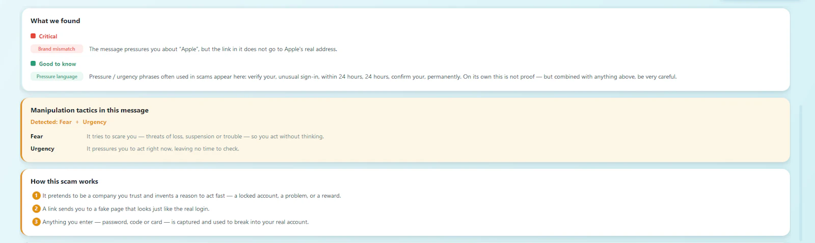 White Fin — Offline scam checker screenshot 4