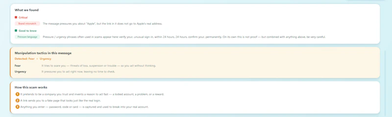 White Fin — Offline scam checker screenshot 4