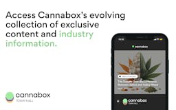 Cannabox media 2
