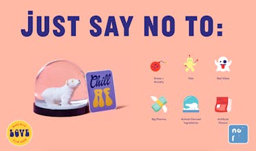 Not Pot gallery image