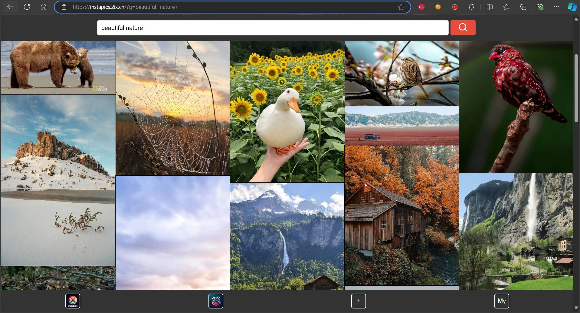 Instapics media 1