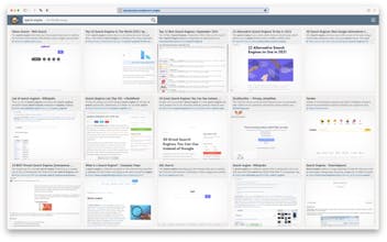 Safari Custom Search gallery image
