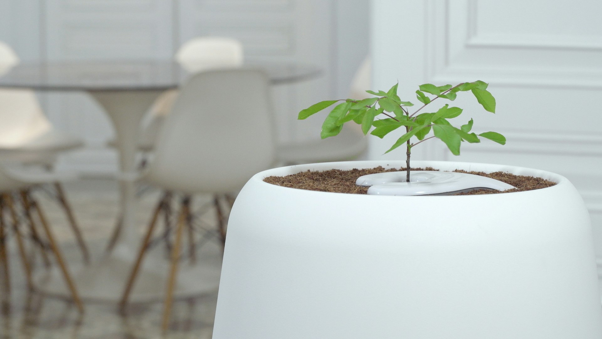 Bios Incube gallery image