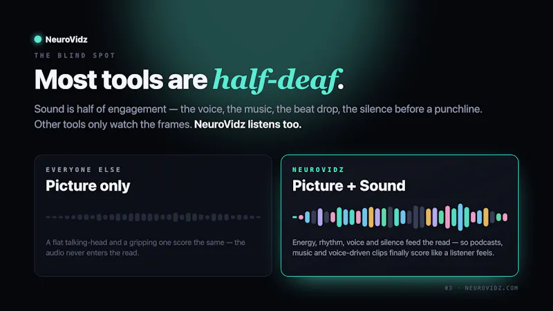 NeuroVidz screenshot 5