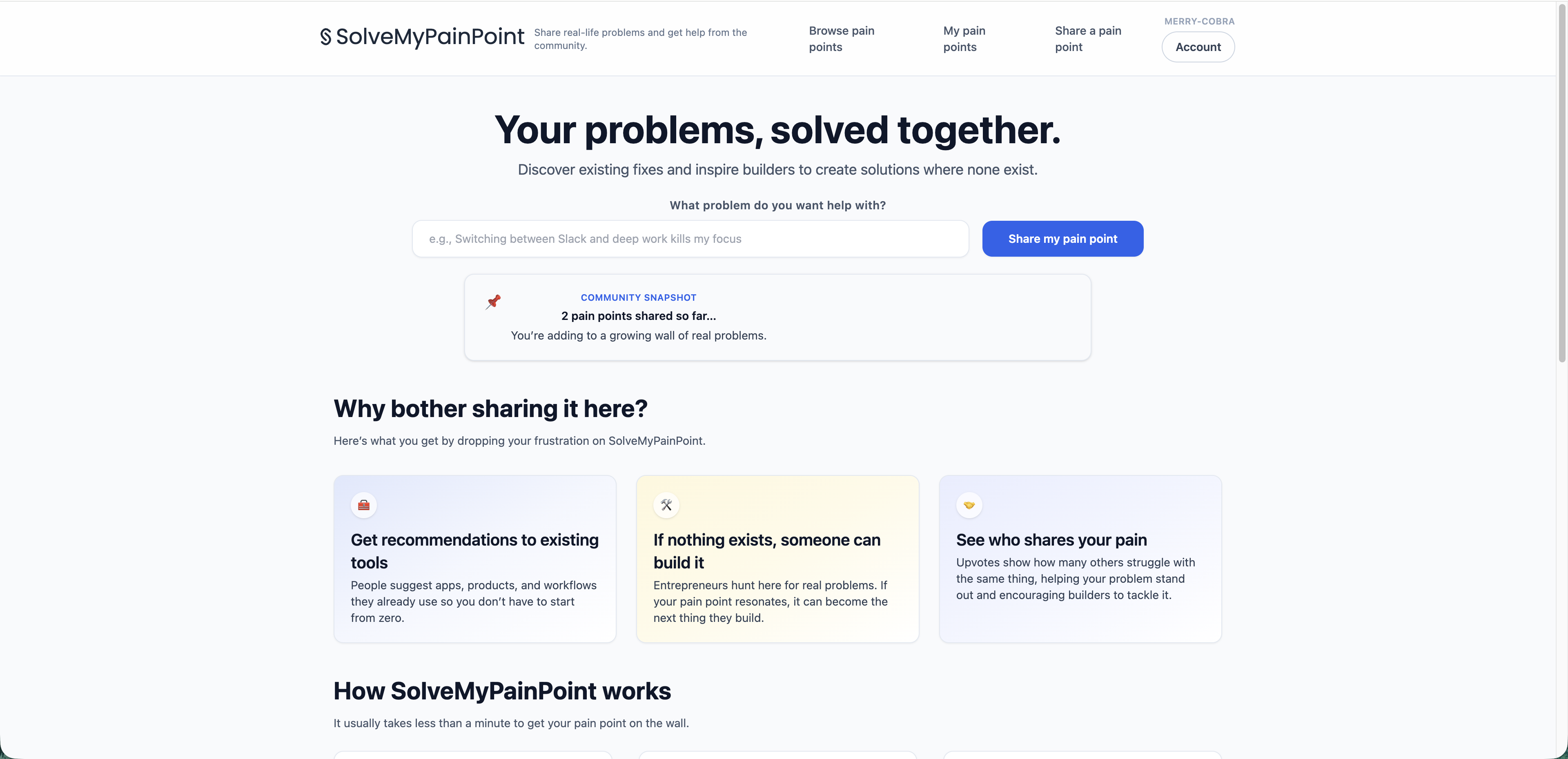 SolveMyPainPoint - Screenshot 3 showing product features and functionality