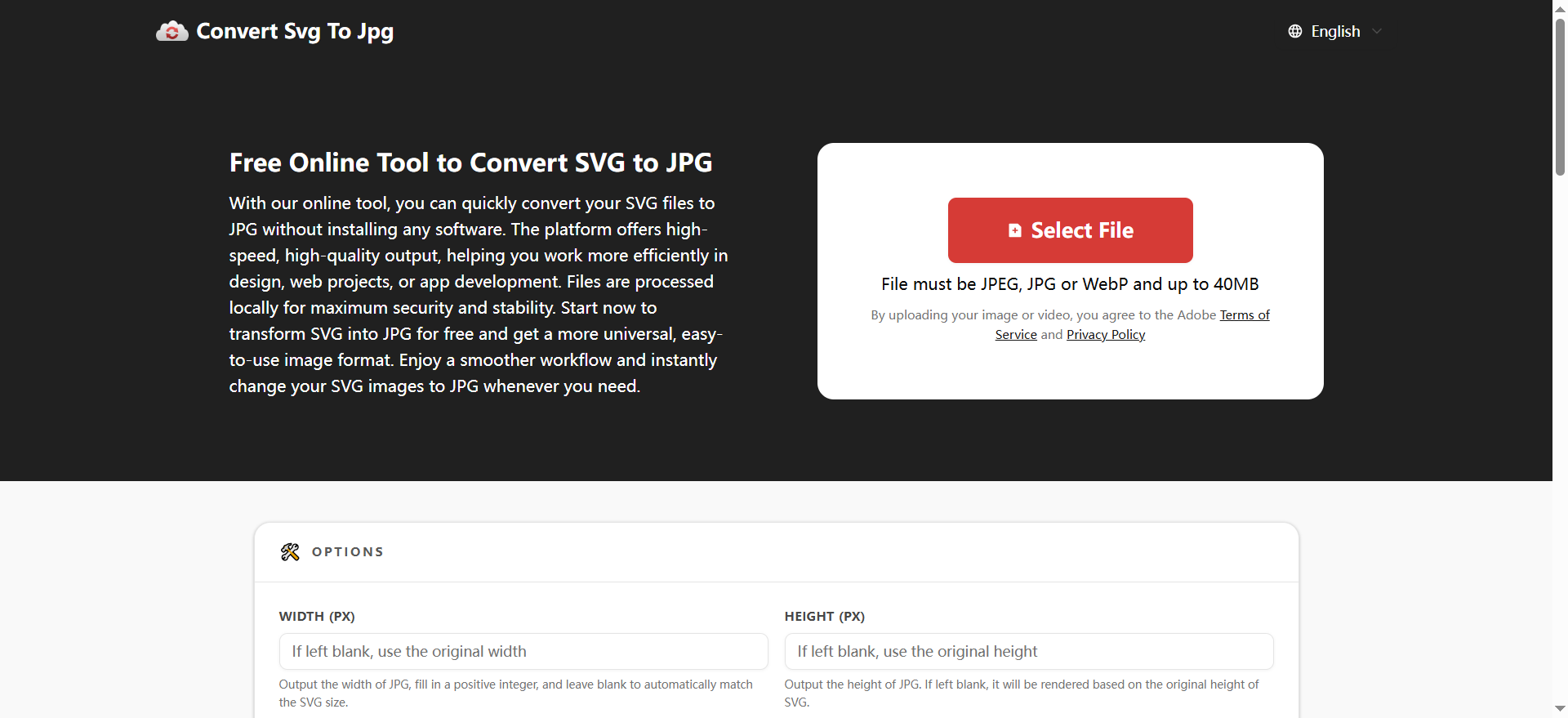 Convert SVG to JPG in Seconds - Main product screenshot demonstrating key features and user interface